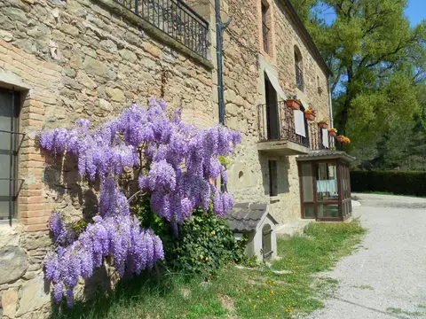 Càmping Cal Paradís