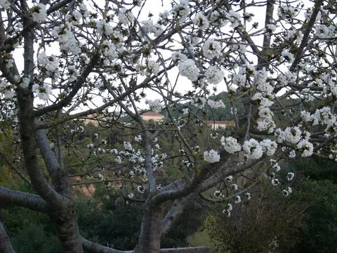 Càmping Cal Paradís