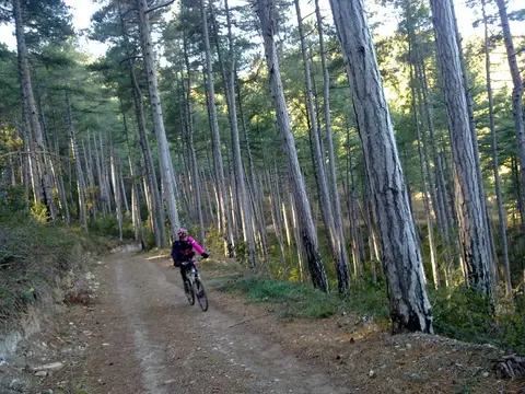 Càmping Cal Paradís