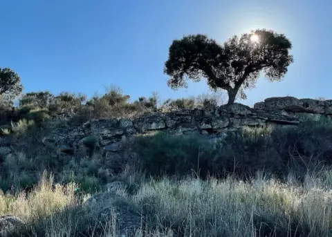 Campscape Beira Marvao