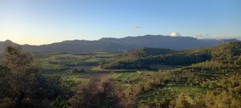 Càmping Terra Alta