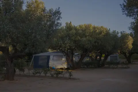 Càmping Terra Alta