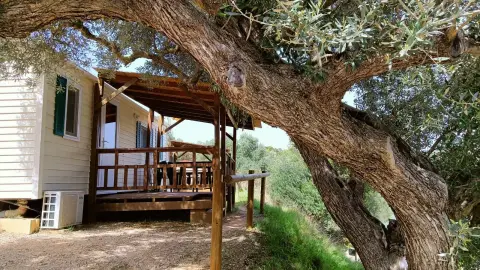 Càmping Terra Alta