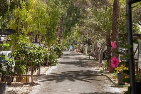 Camping Palm-Mar