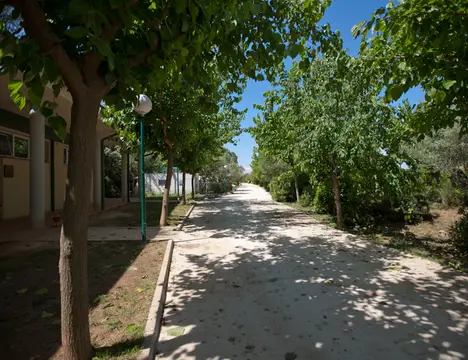 El Teularet
