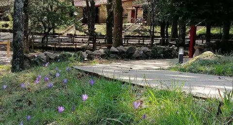 Parque de Campismo de Cerdeira