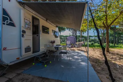 Camping Pinar San José