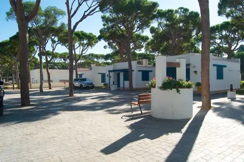 Camping Pinar San José