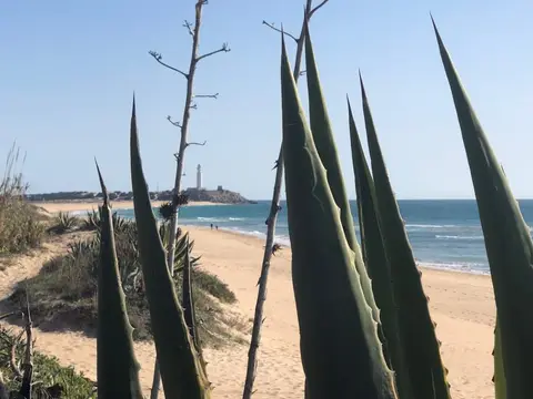 Camping Pinar San José
