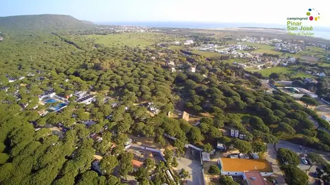 Camping Pinar San José