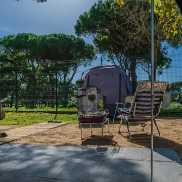 Camping Pinar San José