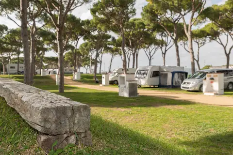 Camping Pinar San José