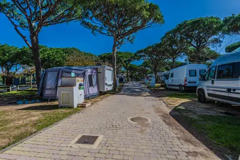 Camping Pinar San José