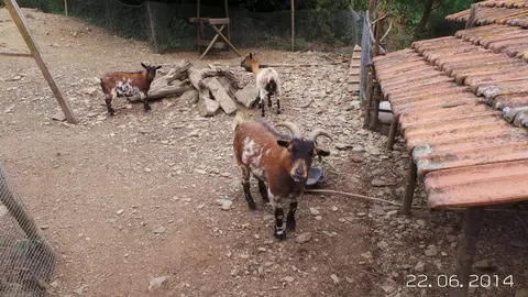 Quinta da Fonte