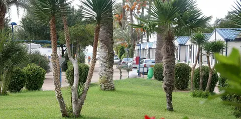 Camping Playa de Mazarrón