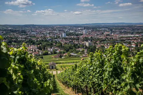 Wohnmobilstellplatz der Genossenschaftskellerei Heilbronn