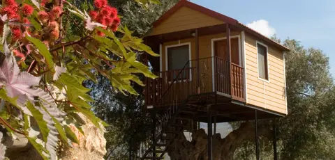Camping Órgiva