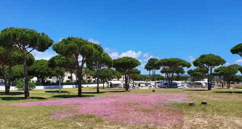 Algarve Motorhome Park Falésia