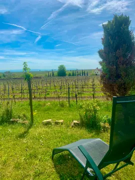 Wohnmobilstellplatz Weingut Wadle