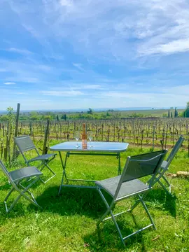 Wohnmobilstellplatz Weingut Wadle