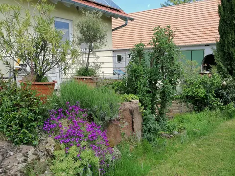 Wohnmobilstellplatz Weingut Wadle