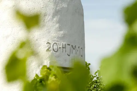 Weingut Müller Stellplatz