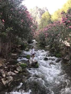 Camping Fonts de l'Algar
