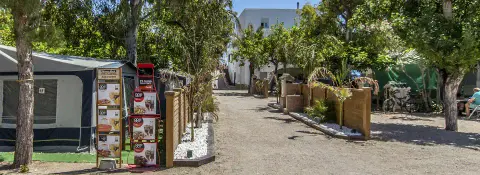 Camping San Vicente