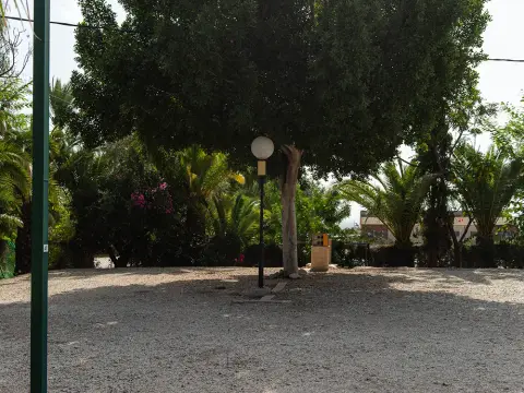 Las Palmeras