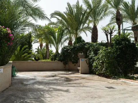 Las Palmeras