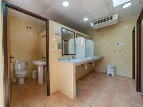 Las Palmeras