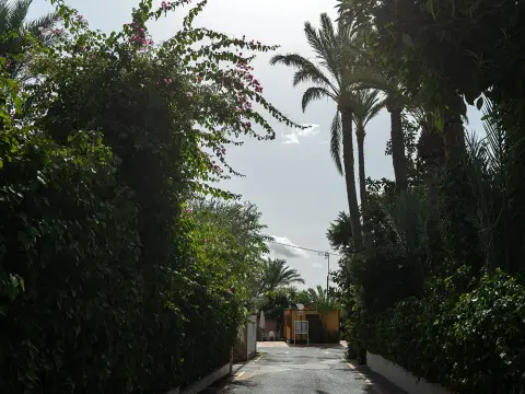 Las Palmeras