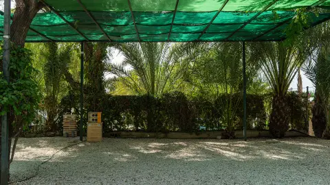 Las Palmeras