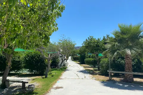 Camping Cerro Gordo