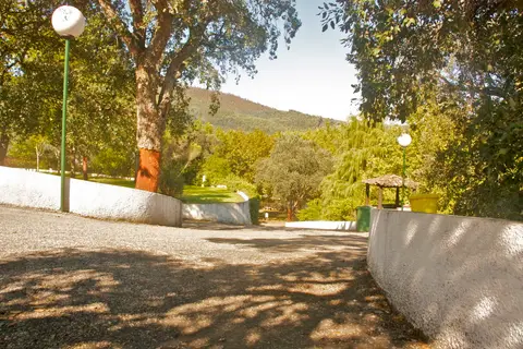 Góis Camping