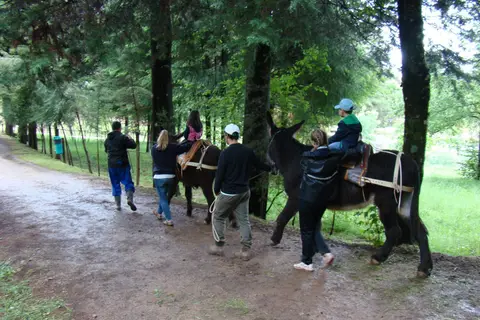 Parque Biológico de Vinhais