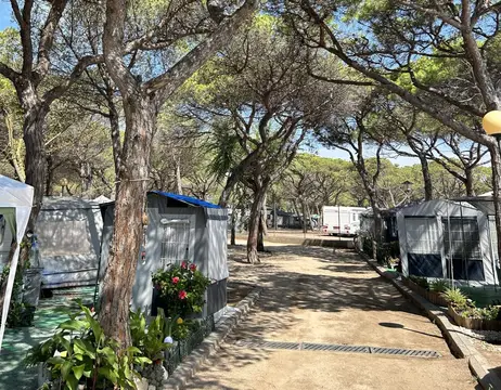 Càmping Voramar
