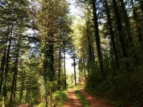 Camping Parc El Pont