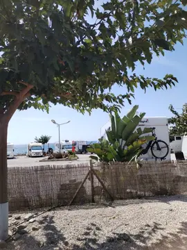 MiluCar Camper Area