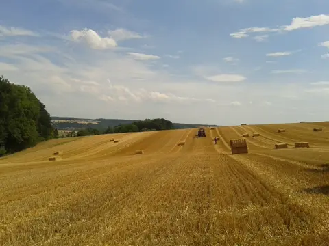Ferienhof Carle