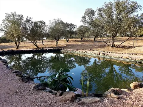 Camping Puro Alentejo