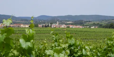 El Pla del Penedès