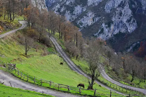 Área de Autocaravanas de Sellaño (Ponga)