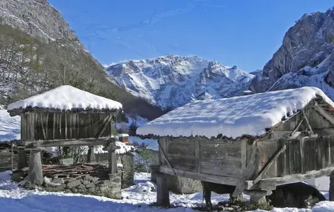 Área de Autocaravanas de Sellaño (Ponga)