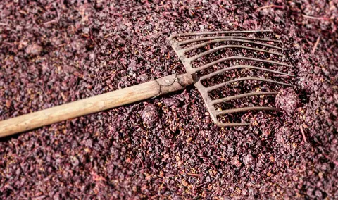 Weingut Schenk Obstgarten