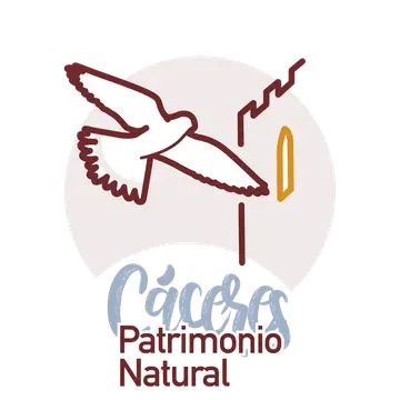 Área de Autocaravanas 'Valhondo'