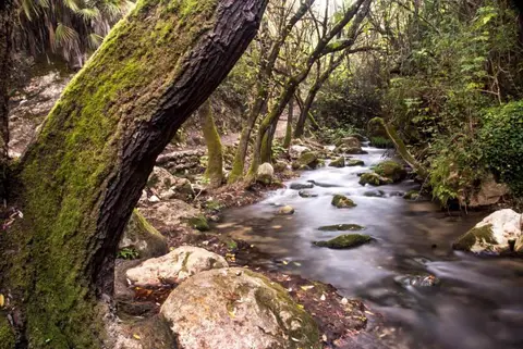 La Torrecilla