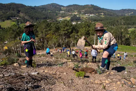 Centro de Actividades Escutistas de Ferreira do Zêzere