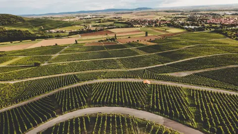 Weingut Emmerich Stellplatz