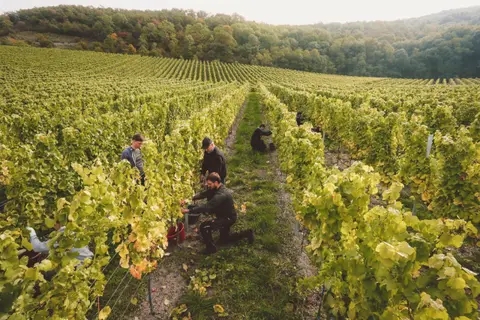 Weingut Emmerich Stellplatz